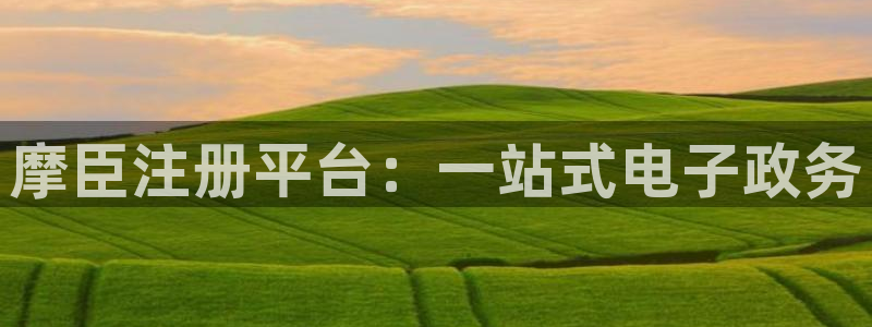 壹号大舞台下载链接：摩臣注册平台：一站式电子政务