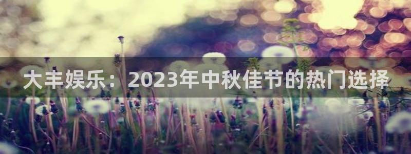 壹号大舞台28国际大舞台：大丰娱乐：2023年中秋佳节的热门选择