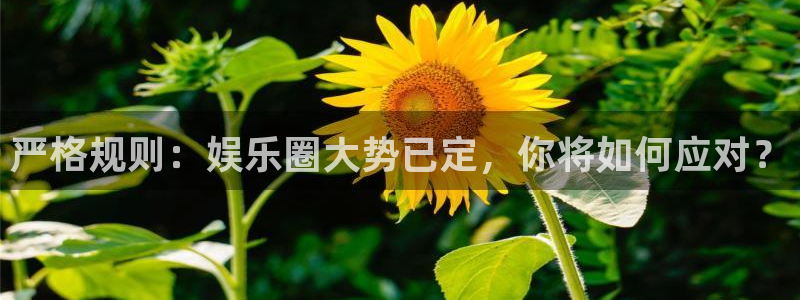 众合官网电子娱乐官网下载：严格规则：娱乐圈大势已定，你将如何应对？