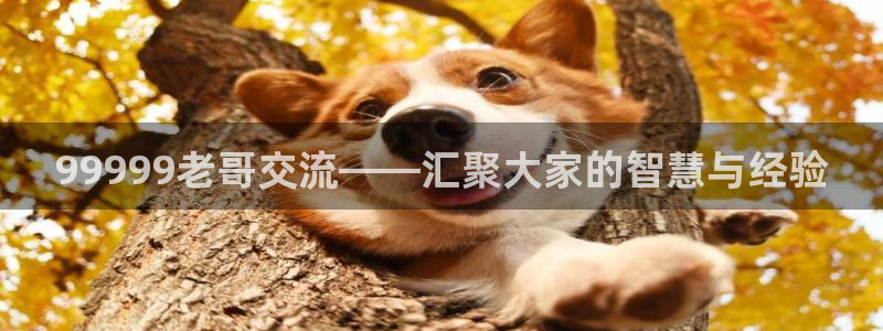 壹号大舞台,有梦你就来：99999老哥交流——汇聚大家的智慧与经验