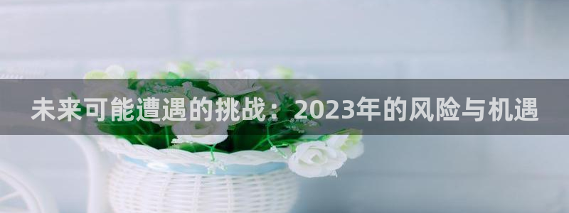 壹号app下载苹果：未来可能遭遇的挑战：2023年的风险与机遇