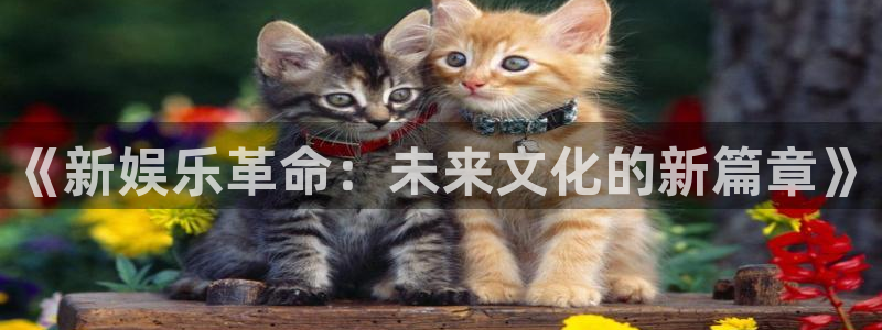 众合官网电子游戏网页版：《新娱乐革命：未来文化的新篇章》
