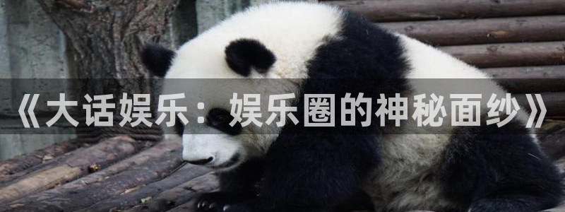 众合官网软件：《大话娱乐：娱乐圈的神秘面纱》