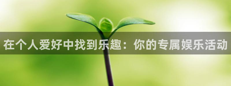 壹号电子娱乐app：在个人爱好中找到乐趣：你的专属娱乐活动