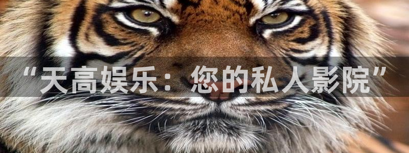 众合官网路线1