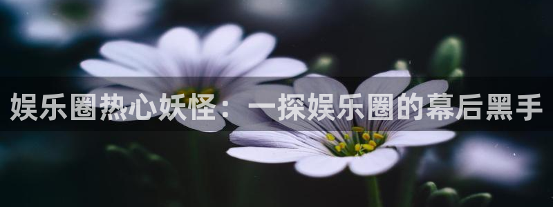 众合官网下载入口：娱乐圈热心妖怪：一探娱乐圈的幕后黑手