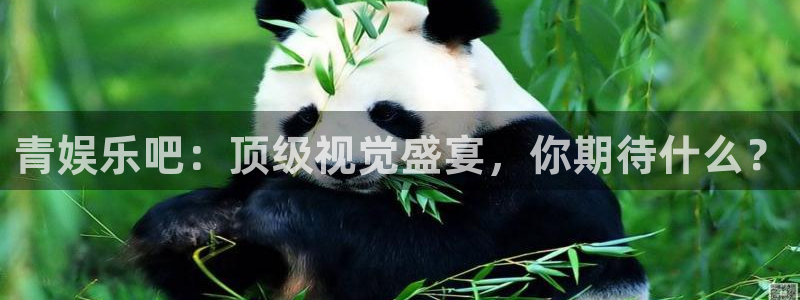 众合官网放水时间：青娱乐吧：顶级视觉盛宴，你期待什么？