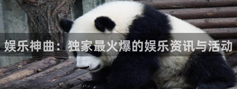 众合官网,apk：娱乐神曲：独家最火爆的娱乐资讯与活动
