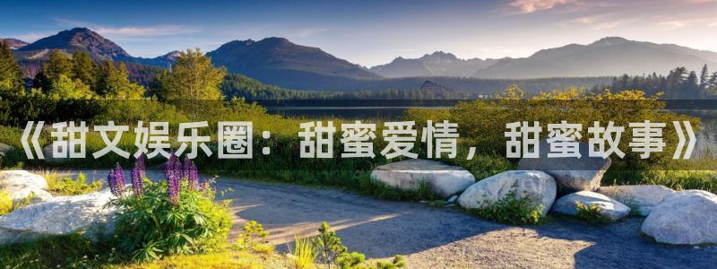 众合官网注册链接入口：《甜文娱乐圈：甜蜜爱情，甜蜜故事》