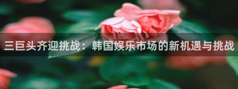 众合官网下载链接是多少：三巨头齐迎挑战：韩国娱乐市场的新机遇与挑战