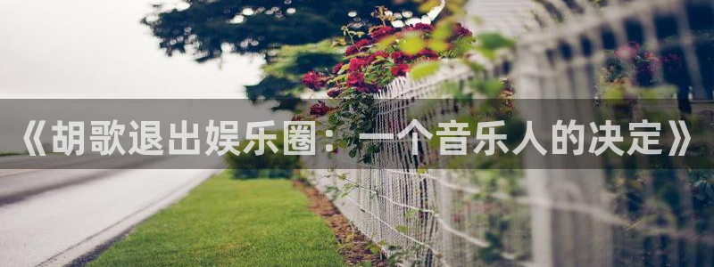 众合官网注册：《胡歌退出娱乐圈：一个音乐人的决定》