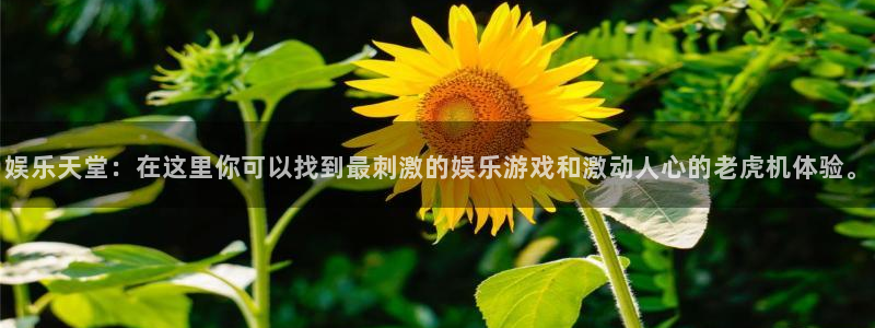 众合官网app下载安装：娱乐天堂：在这里你可以找到最刺激的娱乐游戏和激动人心的老虎机体验。