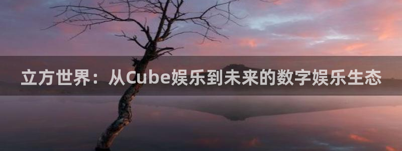 众合官网加拿大下载：立方世界：从Cube娱乐到未来的数字娱乐生态