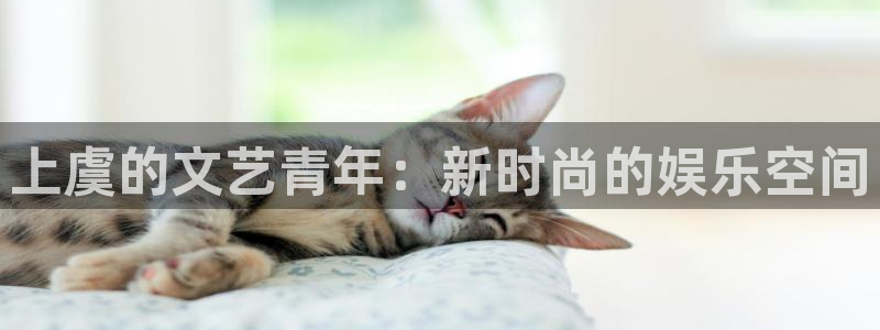 众合官网平台app下载安装：上虞的文艺青年：新时尚的娱乐空间