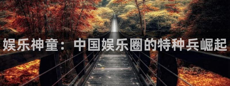 众合官网充值怎么退款：娱乐神童：中国娱乐圈的特种兵崛起