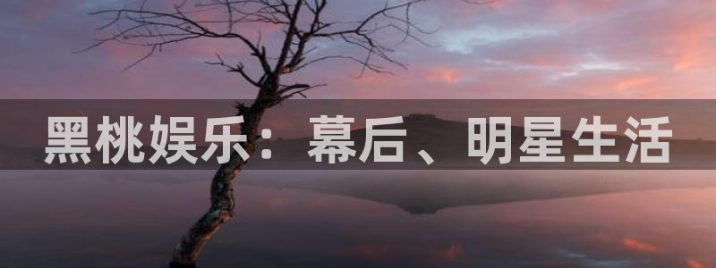 壹号平台下载