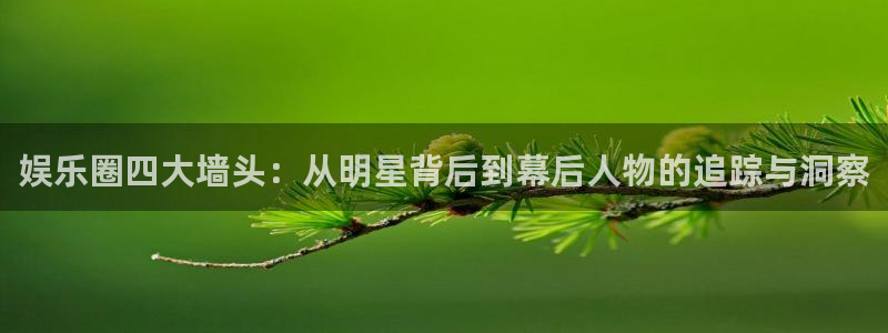 众合官网官网下载：娱乐圈四大墙头：从明星背后到幕后人物的追踪与洞察