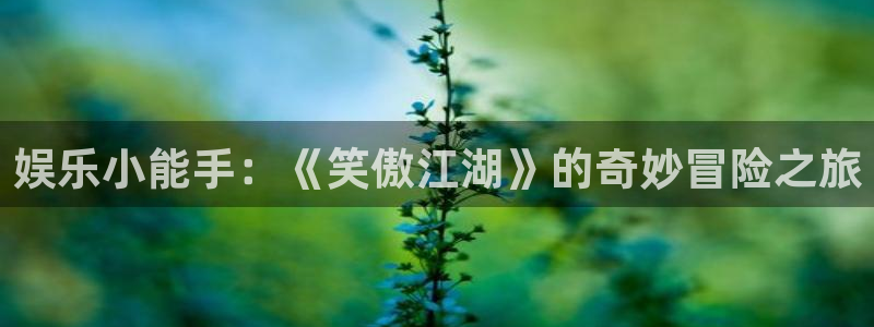壹号top娱乐：娱乐小能手：《笑傲江湖》的奇妙冒险之旅