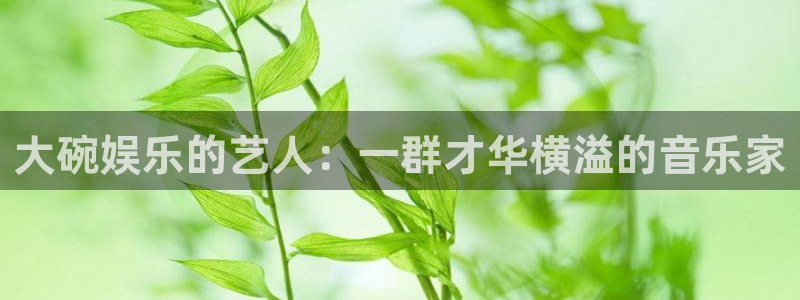 众合官网app 是什么：大碗娱乐的艺人：一群才华横溢的音乐家